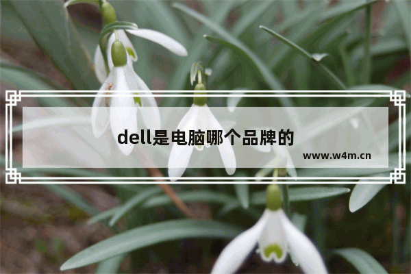 dell是电脑哪个品牌的