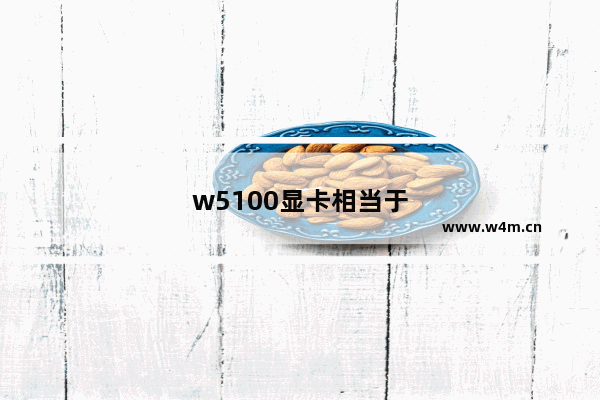 w5100显卡相当于