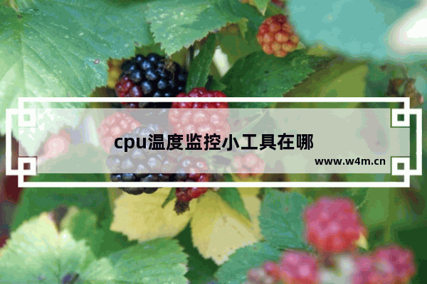 cpu温度监控小工具在哪