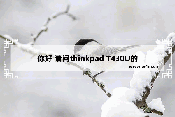 你好 请问thinkpad T430U的HDMI接口没法连投影仪 需要什么样的转接口