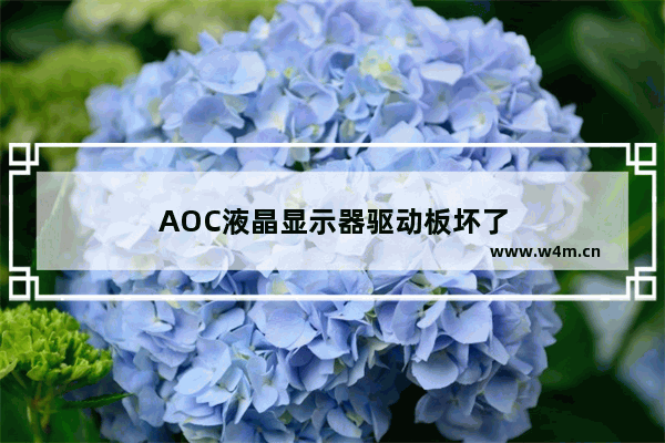 AOC液晶显示器驱动板坏了