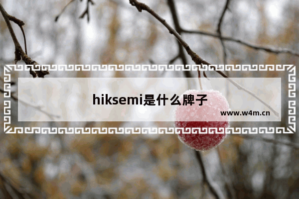 hiksemi是什么牌子