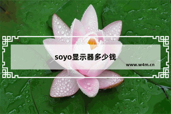 soyo显示器多少钱