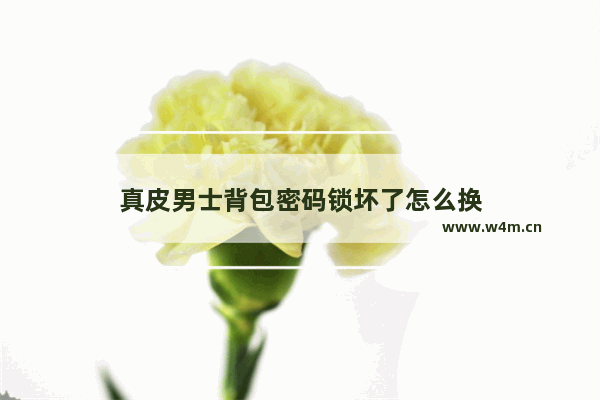 真皮男士背包密码锁坏了怎么换