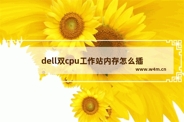 dell双cpu工作站内存怎么插