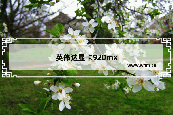 英伟达显卡920mx