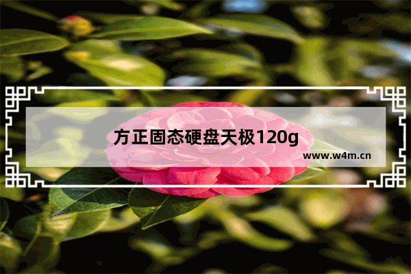 方正固态硬盘天极120g