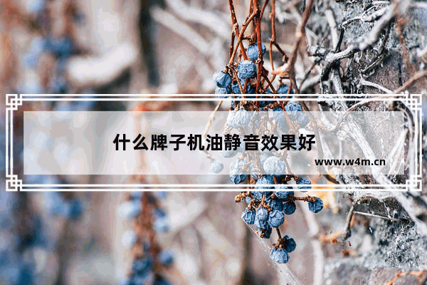 什么牌子机油静音效果好