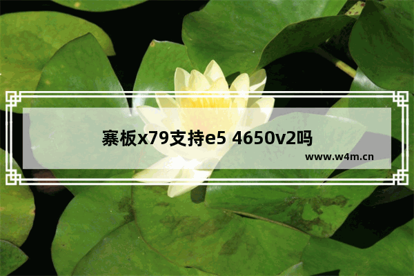 寨板x79支持e5 4650v2吗