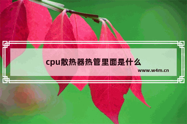 cpu散热器热管里面是什么