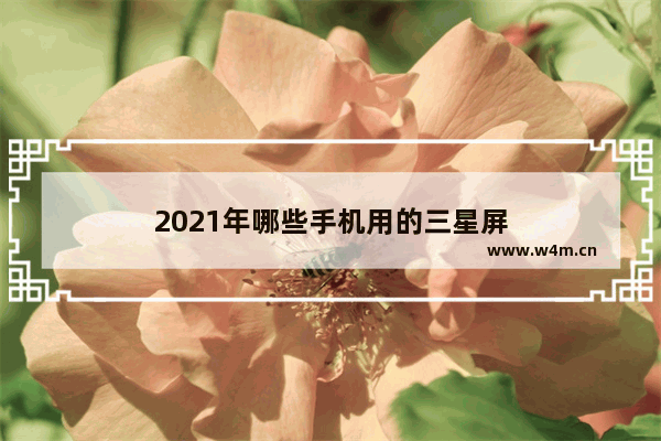 2021年哪些手机用的三星屏