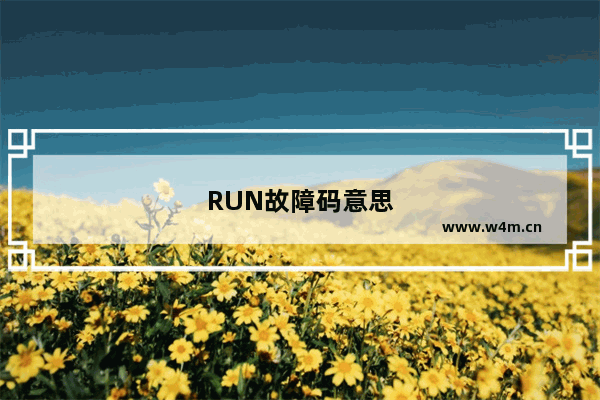 RUN故障码意思