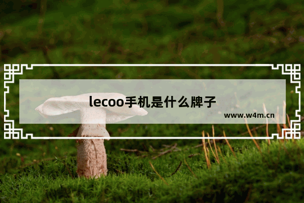 lecoo手机是什么牌子