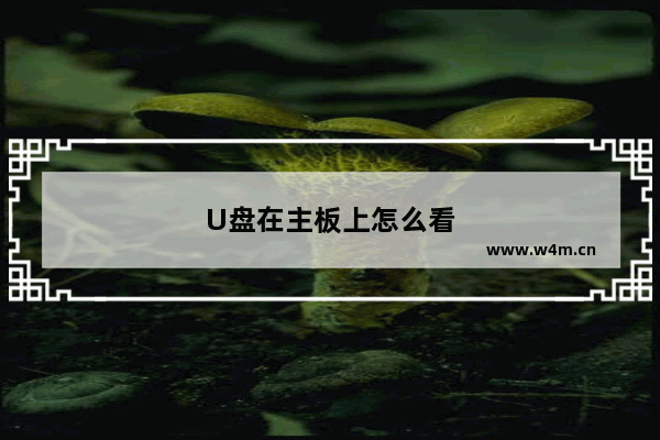 U盘在主板上怎么看