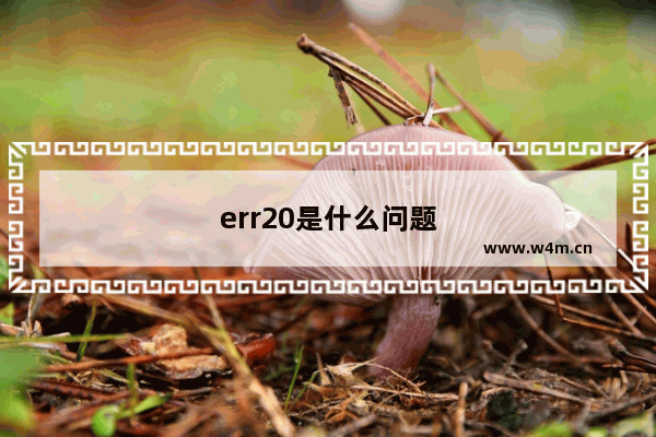 err20是什么问题