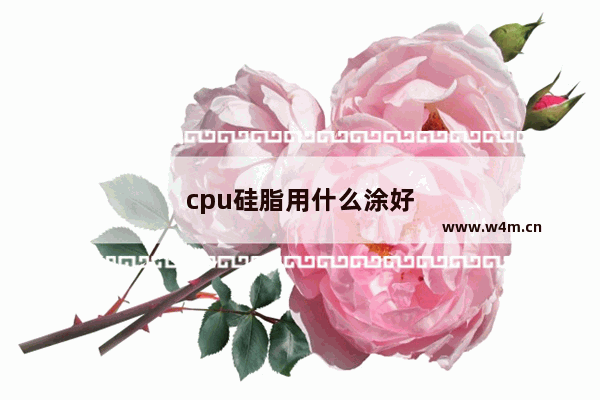 cpu硅脂用什么涂好