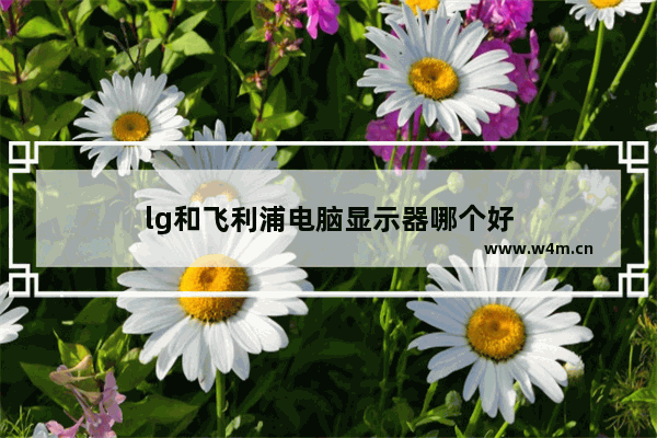 lg和飞利浦电脑显示器哪个好