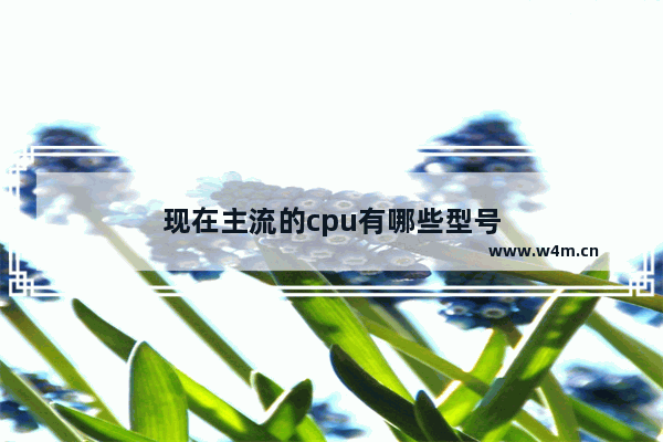 现在主流的cpu有哪些型号