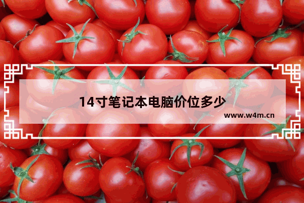 14寸笔记本电脑价位多少