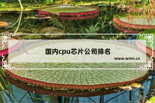 国内cpu芯片公司排名