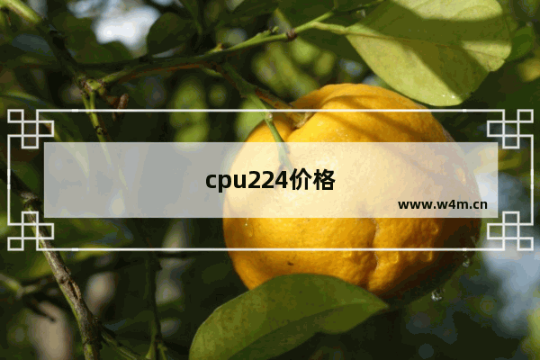 cpu224价格