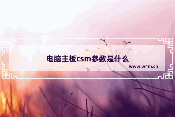 电脑主板csm参数是什么