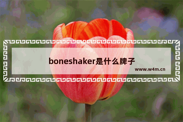 boneshaker是什么牌子