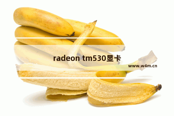 radeon tm530显卡