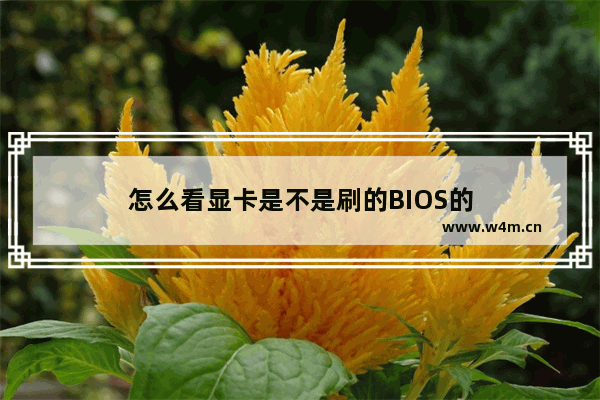 怎么看显卡是不是刷的BIOS的