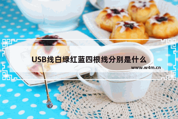 USB线白绿红蓝四根线分别是什么