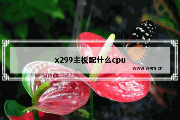 x299主板配什么cpu