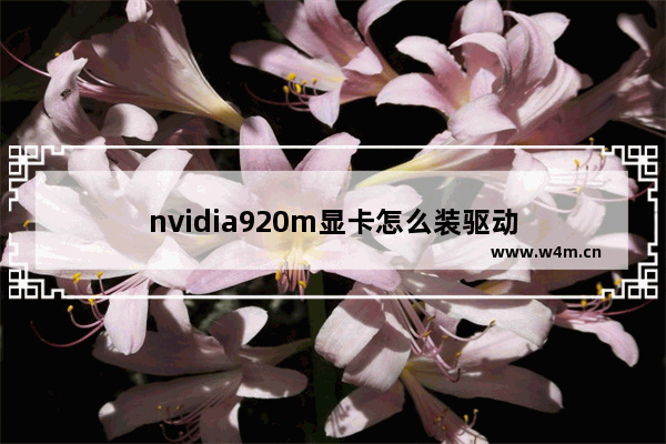 nvidia920m显卡怎么装驱动