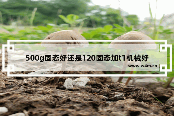 500g固态好还是120固态加t1机械好