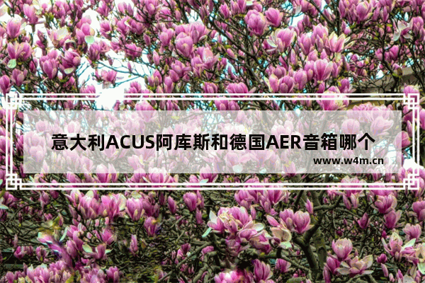 意大利ACUS阿库斯和德国AER音箱哪个比较好