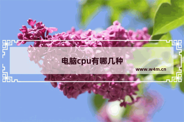 电脑cpu有哪几种