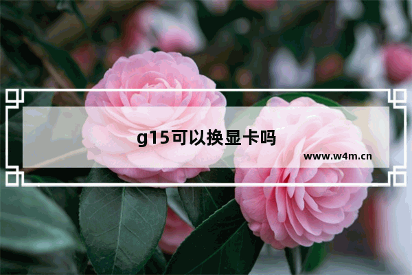 g15可以换显卡吗