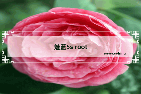 魅蓝5s root