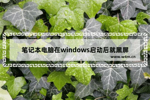 笔记本电脑在windows启动后就黑屏