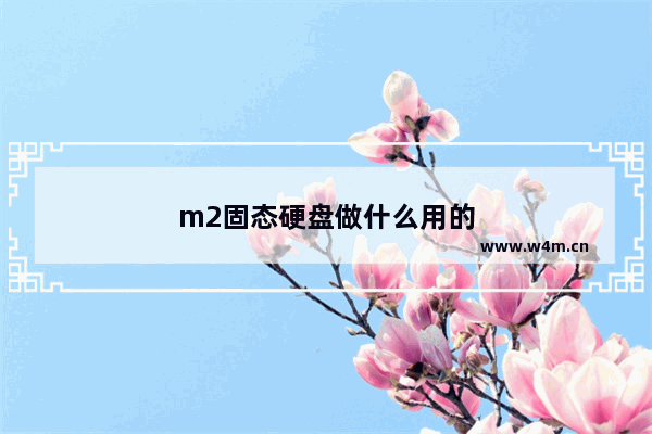 m2固态硬盘做什么用的