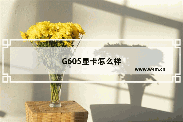 G605显卡怎么样