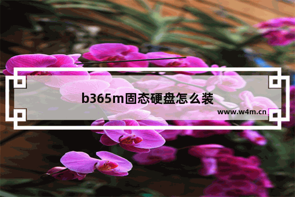 b365m固态硬盘怎么装