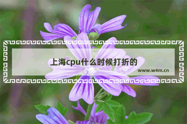 上海cpu什么时候打折的