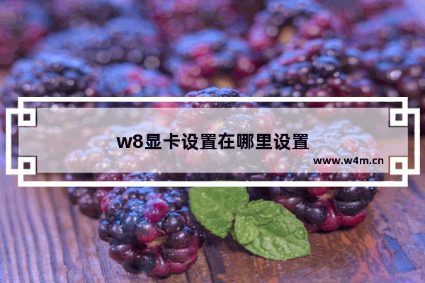 w8显卡设置在哪里设置