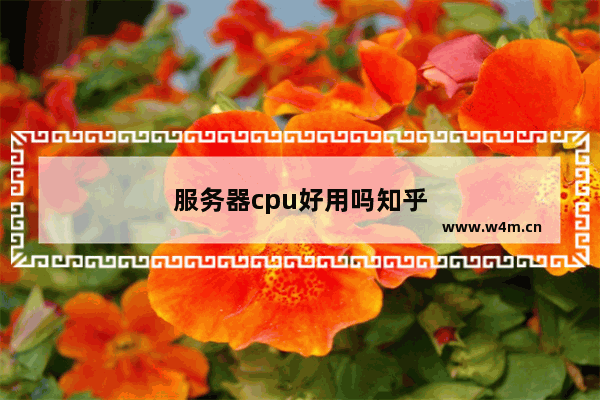 服务器cpu好用吗知乎