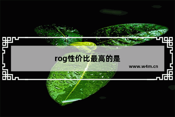 rog性价比最高的是