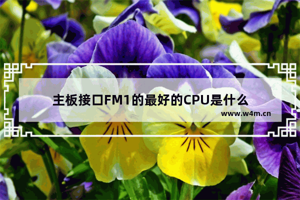 主板接口FM1的最好的CPU是什么