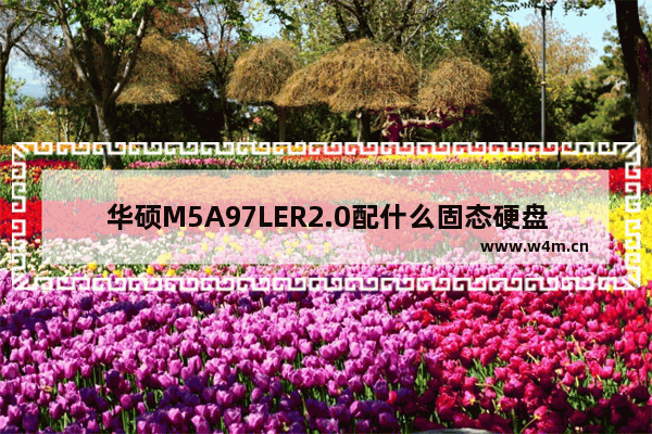 华硕M5A97LER2.0配什么固态硬盘好