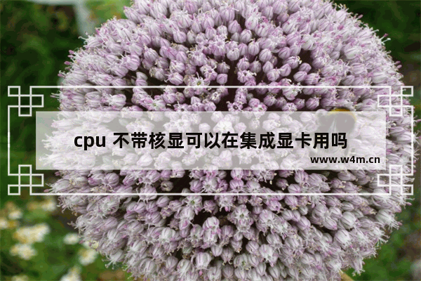 cpu 不带核显可以在集成显卡用吗