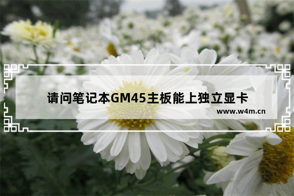 请问笔记本GM45主板能上独立显卡