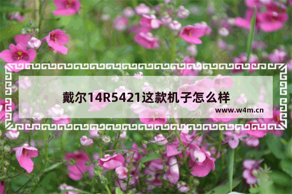 戴尔14R5421这款机子怎么样